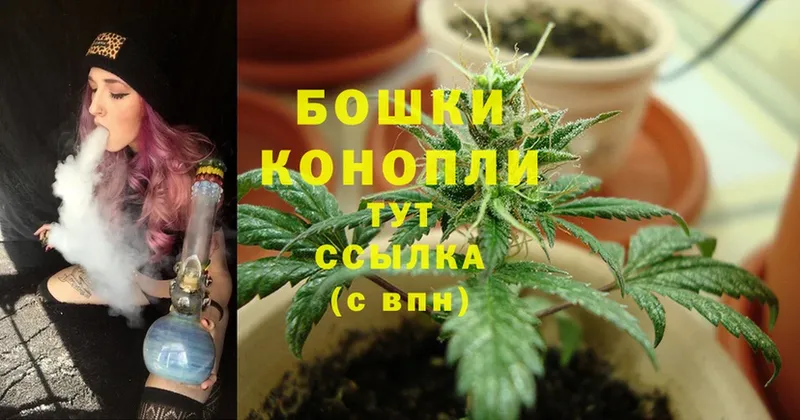 Бошки Шишки SATIVA & INDICA  Лангепас 